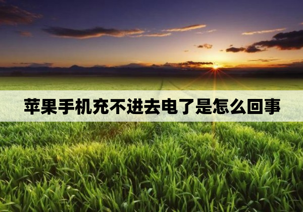苹果手机充不进去电了是怎么回事
