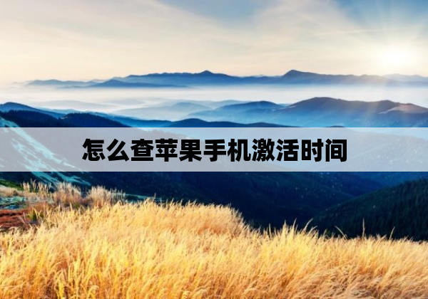 怎么查苹果手机激活时间