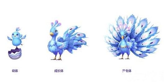 QQ飞车手游孔雀明王怎么得？孔雀明王获取方法一览[视频][多图]图片3