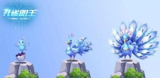 QQ飞车手游孔雀明王怎么得？孔雀明王获取方法一览[视频][多图]图片2