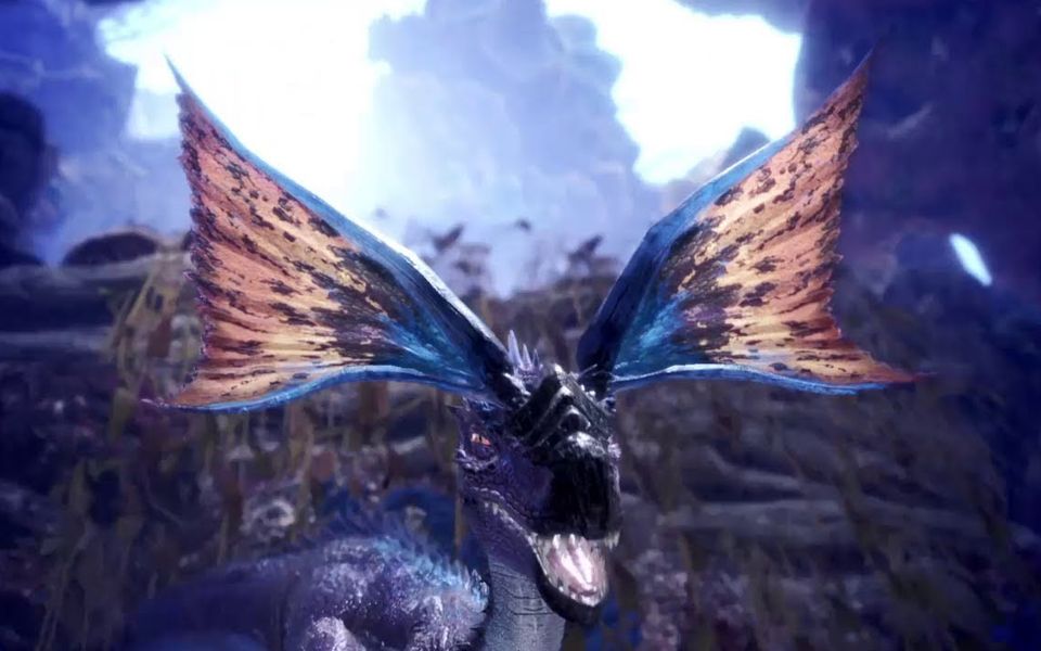 怪物猎人世界眩鸟在哪个区 怪物猎人世界眩惑刀有雷电属性吗