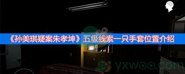 孙美琪疑案朱孝坤五级线索一只手套位置介绍