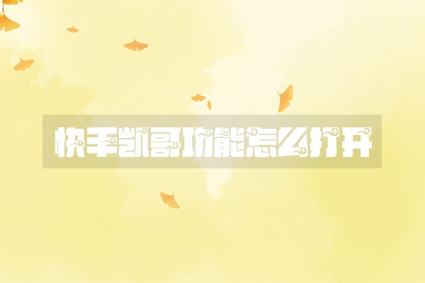 快手凯哥功能怎么打开