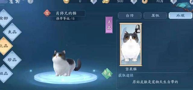 新笑傲江湖手游肖师兄的猫怎么获得？肖师兄的猫获取攻略