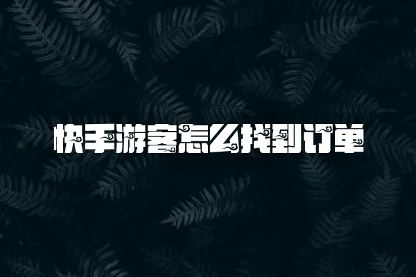 快手游客怎么找到订单