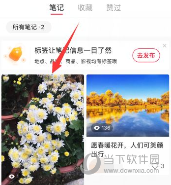 小红书怎么删除笔记 清理笔记方法介绍