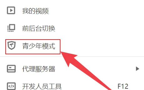 《小米浏览器》设置青少年模式的操作方法