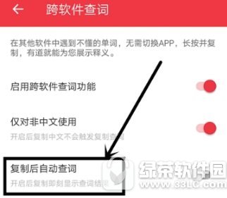 有道词典复制后自动查词怎么开启 有道词典复制后自动查词开启教程2