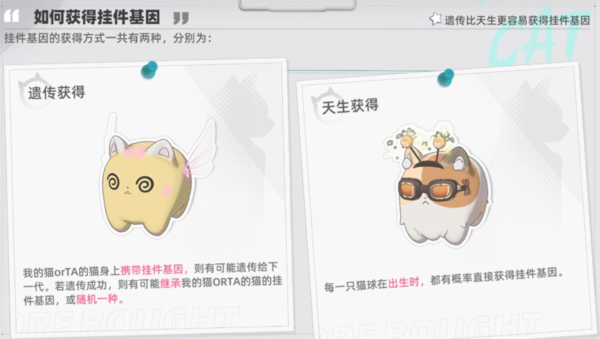 猫之城基因挂件怎么解锁 详细方法介绍