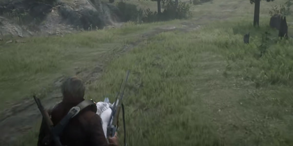 荒野大镖客2完美美洲狮皮怎么获得  荒野大镖客2完美美洲狮皮获取位置