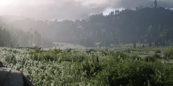 荒野大镖客2完美麋鹿皮怎么获得  荒野大镖客2完美麋鹿皮获取位置