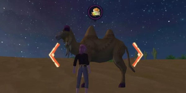 创造与魔法骆驼饲料怎么获得 保底饲料多少包