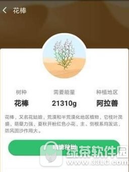 支付宝蚂蚁森林花棒是什么 支付宝蚂蚁森林花棒玩法介绍