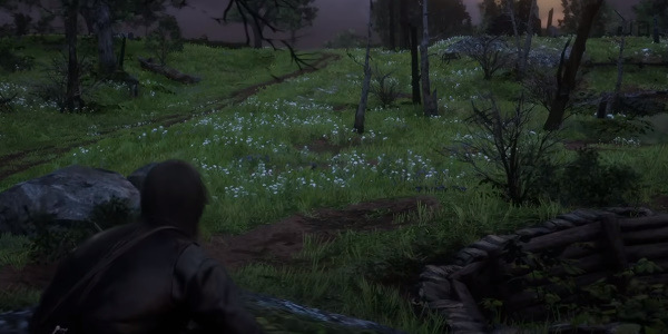 荒野大镖客2完美浣熊皮在哪里获得  荒野大镖客2完美浣熊皮获取位置