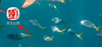 民生山西如何查询养老保险交了多少年 具体操作方法介绍