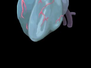 杀戮尖塔观者腐化之心技能怎么样 杀戮尖塔观者腐化之心技能攻略