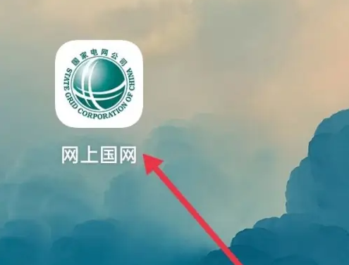 网上国网交电费如何找银行卡号 网上国网查看银行卡教程