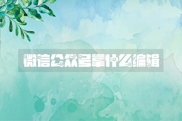 微信公众号拿什么编辑