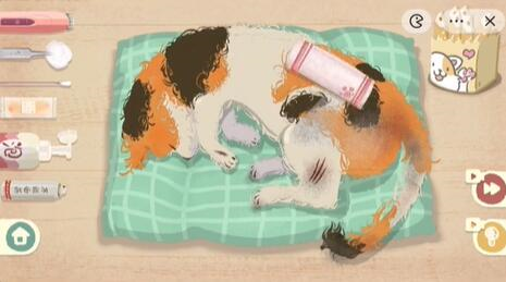 收纳物语救助喵喵怎么过 关卡通关攻略