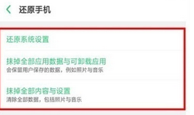 OPPO  Ace2恢复出厂的设置方法截图