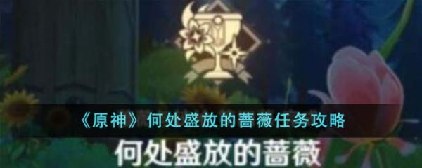 原神何处盛放的蔷薇任务怎么完成 何处盛放的蔷薇任务攻略
