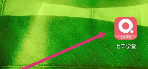 七天学堂成绩查询怎么分析 七天学堂查看学情分析教程