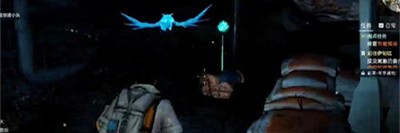 《星球重启》蓝色猫头鹰虚影宝箱具体位置是什么？蓝色猫头鹰虚影宝箱的详细位置是哪里呢？