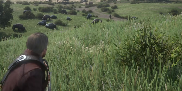 荒野大镖客2完美野牛皮怎么获得  荒野大镖客2完美野牛皮获取位置