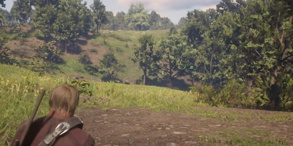 荒野大镖客2完美野猪皮怎么获取  荒野大镖客2完美野猪皮获取位置