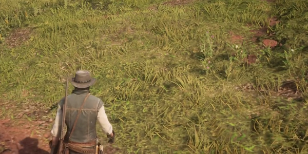 荒野大镖客2完美獾皮哪里获得  荒野大镖客2完美獾皮获取位置