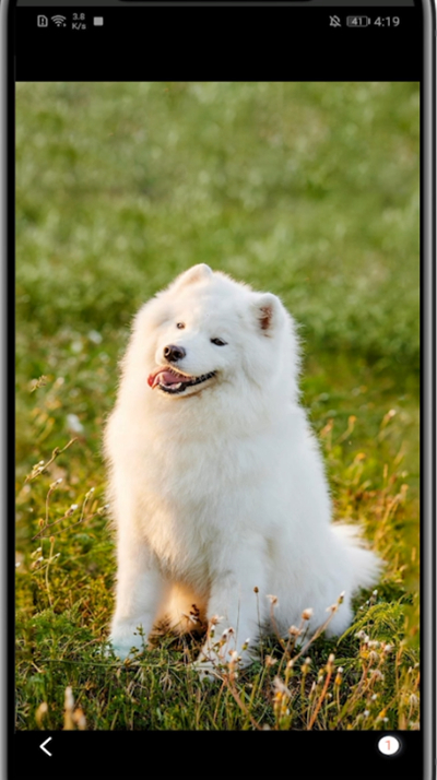 快影中在视频里添加图片的方法步骤截图