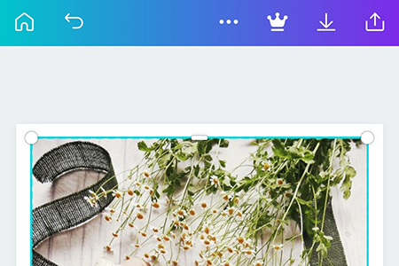 canva怎么翻转图片 相关旋转的方法介绍