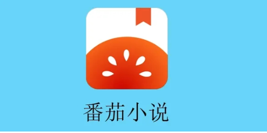 番茄小说怎么弄免费vip 番茄2022年永久激活码可重复使用