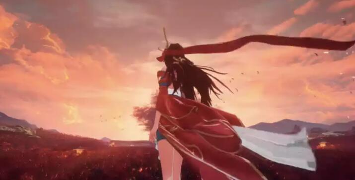 我自为道月卡怎么选