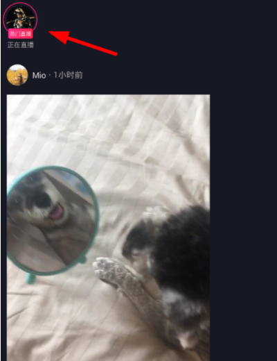 抖音看直播关闭评论的操作步骤截图