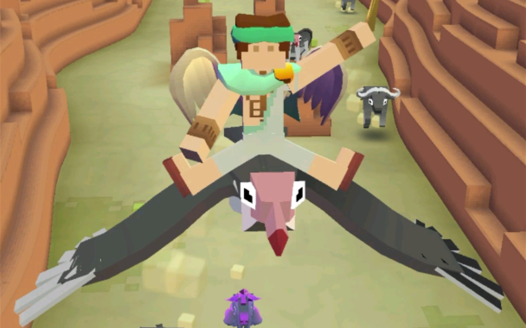 疯狂动物园老鹰抓捕地点介绍 老鹰在哪里可以找到