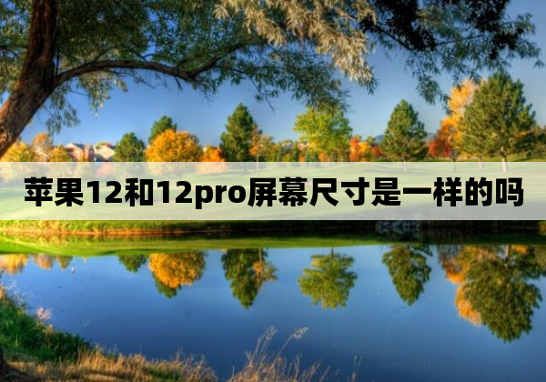 苹果12和12pro屏幕尺寸是一样的吗