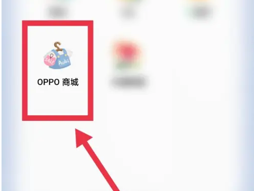 oppo商城怎么开发票 oppo商城开发票教程
