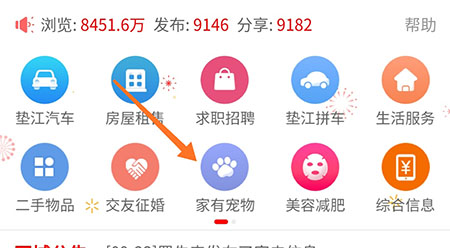 垫江论坛怎么发布宠物 将爱宠讲给值得信任的人