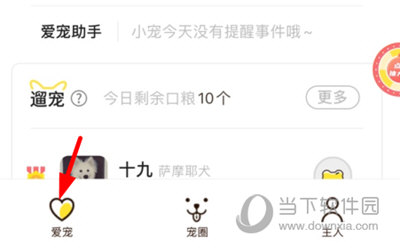 犬易APP怎么识别狗的品种 识别方法介绍