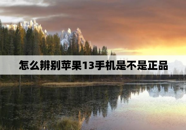 怎么辨别苹果13手机是不是正品