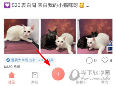 波奇宠物怎么发布笔记 发布方法介绍