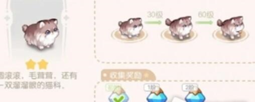 奥比岛手游晶钻怎么得2