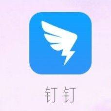 钉钉群组怎么加人 钉钉加入群组操作步骤