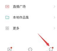 快手设置不让别人下载我的作品的操作过程截图