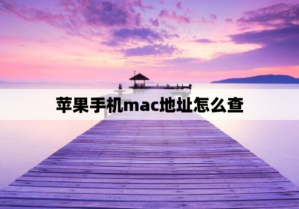苹果手机mac地址怎么查