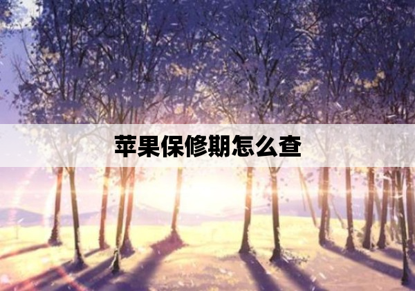 苹果保修期怎么查