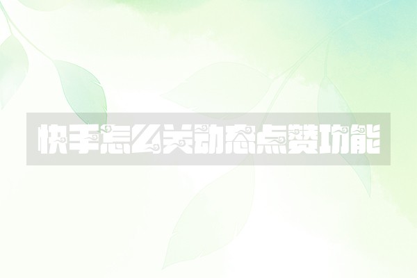 快手怎么关动态点赞功能