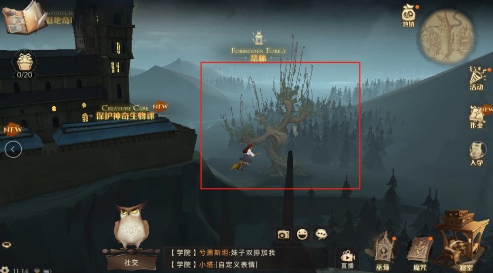 哈利波特魔法觉醒打人柳凯文攻略 打人柳凯文彩蛋通关流程分享