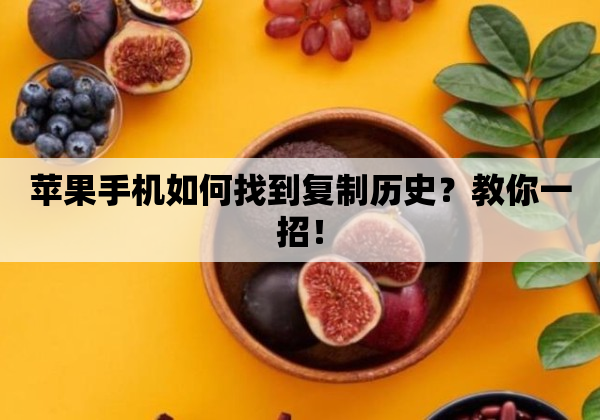 苹果手机如何找到复制历史？教你一招！
